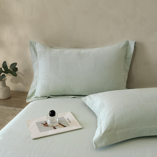 自然醒轻奢高支浮雕立体提花单件枕套HS 商品图2