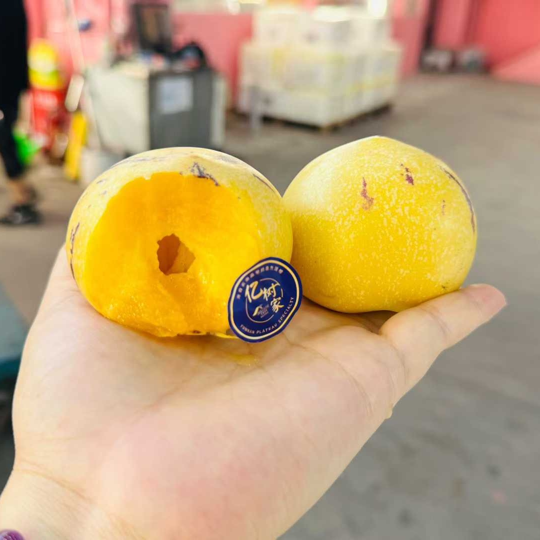 树上熟人参果500g+