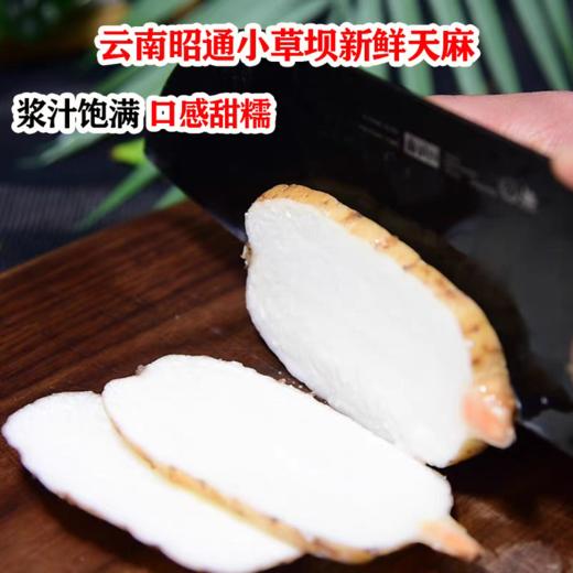 【云南昭通新鲜天麻】顺丰到家 个头短肥 肉质肥厚 口感回味甘甜 带泥发货 品质优良 新鲜现挖  4种规格任选 商品图3