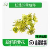 小茴香花6g*1盒