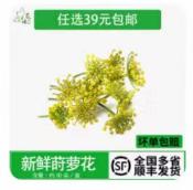 小茴香花6g*1盒 商品图0