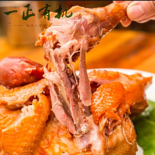 一正鲜烧鸡700克左右 商品图1
