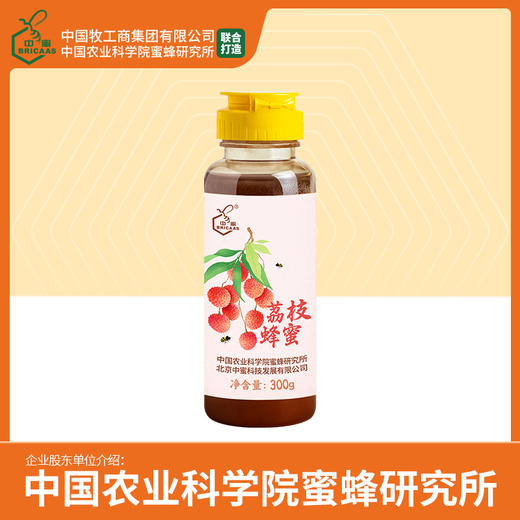 中蜜牌荔枝蜂蜜（300克）挤瓶蜜 商品图0