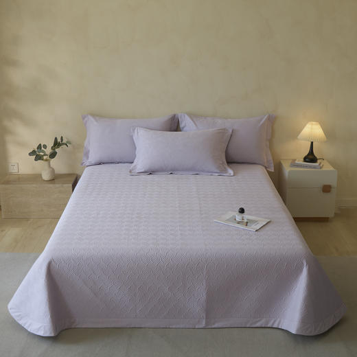 自然醒轻奢高支浮雕立体提花单件床盖HS 商品图5