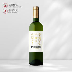 拉维恩波尔多白葡萄酒