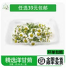 洋甘菊花10g*1盒 商品缩略图0