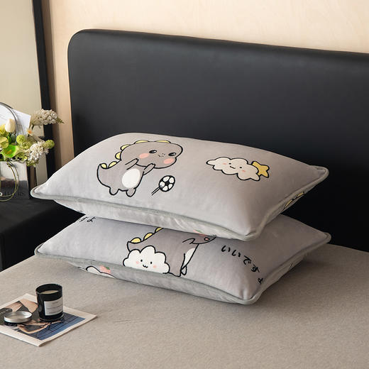 【换季出清】自然醒A类纯色印花包边牛奶绒枕套一对装48x74cm冬季家用加厚枕头套枕芯内胆套QJ 商品图2