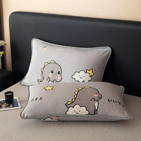 【换季出清】自然醒A类纯色印花包边牛奶绒枕套一对装48x74cm冬季家用加厚枕头套枕芯内胆套QJ