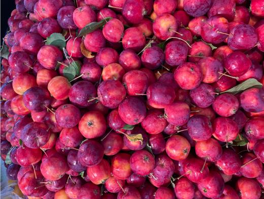 海棠果2斤 商品图1