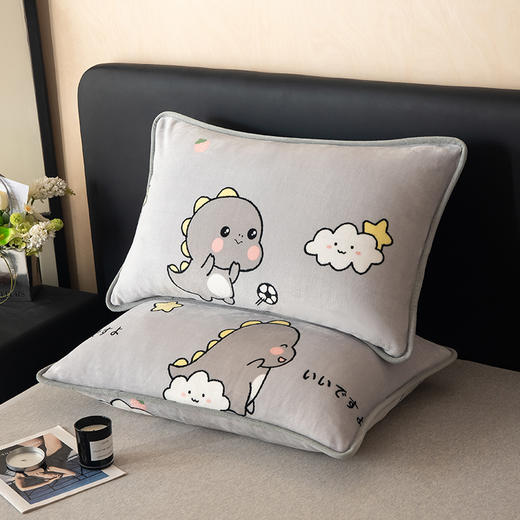 【换季出清】自然醒A类纯色印花包边牛奶绒枕套一对装48x74cm冬季家用加厚枕头套枕芯内胆套QJ 商品图1