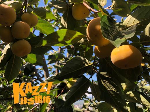 云南卡吉脆柿 商品图6