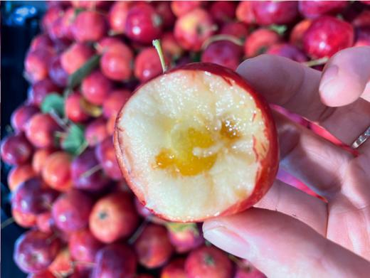 海棠果2斤 商品图3