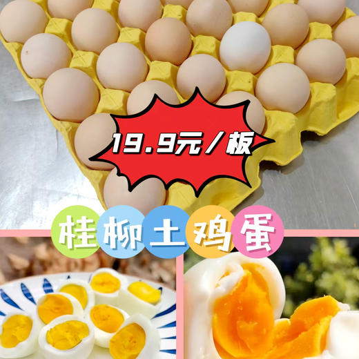 【桂银专属】桂柳土鸡蛋30枚/板 商品图0