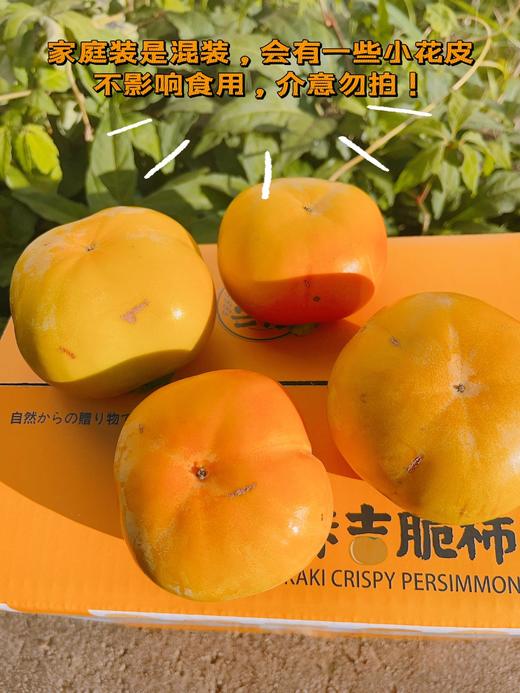 云南卡吉脆柿 商品图2