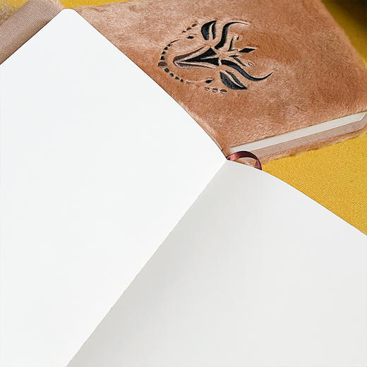 青海·治多 藏羚羊笔记本 商品图3