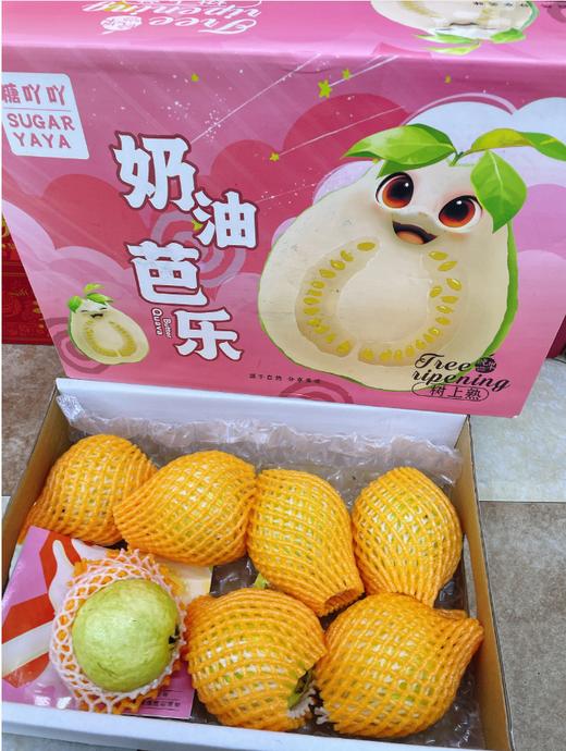 糖丫丫奶油芭乐一箱 商品图2