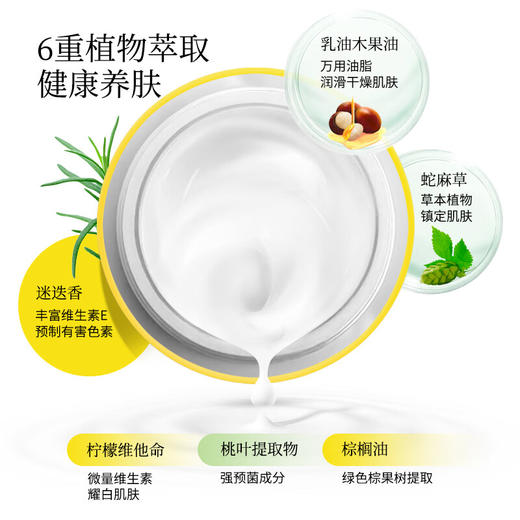 日本乐丝/Loshi马油保湿滋润霜220g/118159 一面护肤一面滋润抚平干燥 商品图2