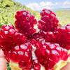 【快递】新悦悠四川会理红石榴 礼盒装果王约4.2斤 产地直发 商品缩略图4