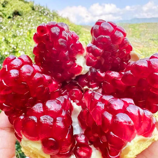 【快递】新悦悠四川会理红石榴 礼盒装果王约4.2斤 产地直发 商品图4