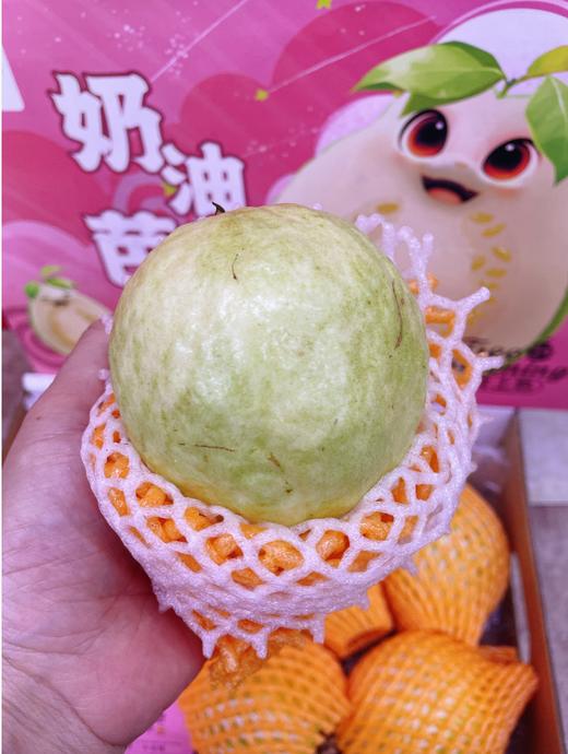 糖丫丫奶油芭乐一箱 商品图1