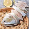 五更金鲳鱼280g 商品缩略图4