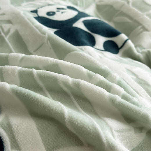 【换季出清】自然醒A类高克重5D立体浮雕宽边牛奶绒被套单件冬季双面珊瑚绒加厚被罩 QJ 商品图14