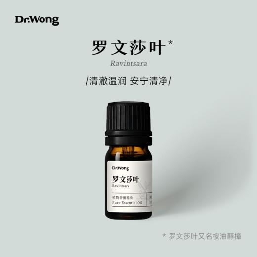 罗文莎叶 香薰精油5ml 商品图0