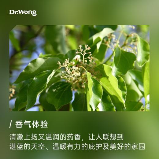 罗文莎叶 香薰精油5ml 商品图1