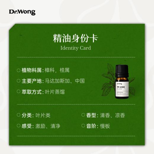 罗文莎叶 香薰精油5ml 商品图2