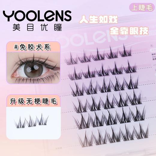 【特价】免胶假睫毛 39.9元4件 加购4件再下单 商品图6