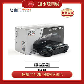 拓意  T11-26   小鹏M03黑色