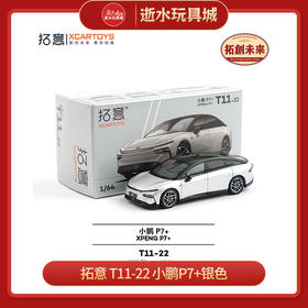 拓意   T11-22   小鹏P7+银色