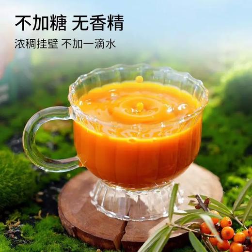 聊小天新疆沙棘原浆NFC袋装 160g/袋 商品图1