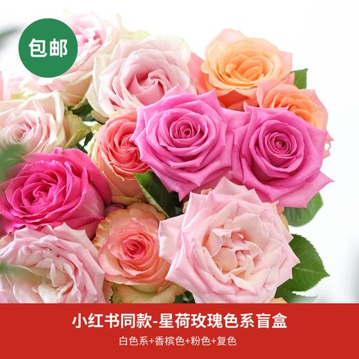【方德色系玫瑰合集】荷冠10扎 单个色系品种随机发 顺丰包邮 商品图0