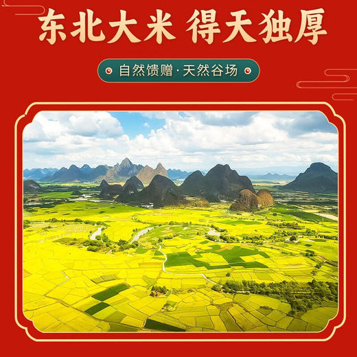 【东北公司】九台贡米稻香臻品2.5kg 商品图2