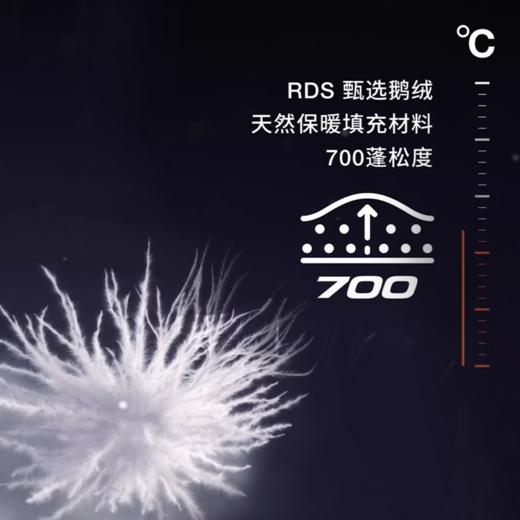 【北面1996 Nuptse经典款羽绒服】超值清仓福利！时尚大牌联名款，DWR科技面料，专业防护设计，保暖防风，畅享舒适寒冬！ 商品图2