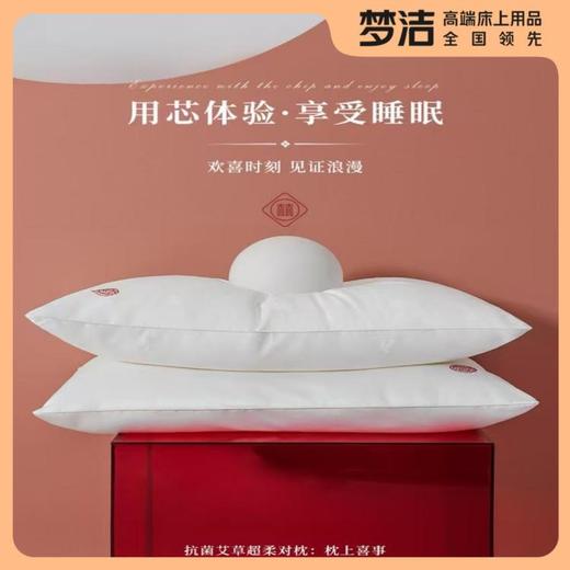 【直送到家】梦洁 抗菌艾草超柔对枕：枕上喜事50*70*750g 商品图0