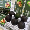 进口牛油果 商品缩略图8