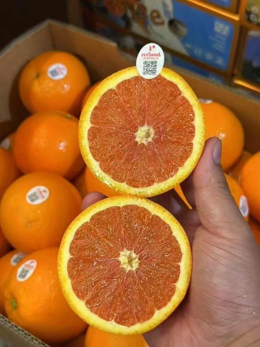 澳洲血橙（5个装/2.2斤） 商品图0
