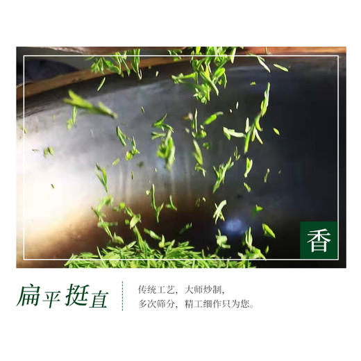【臻选好茶】杨茗四海 特级明前龙井 商品图2