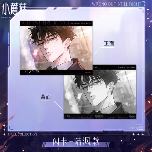 快看 小蘑菇 极光之拥 闪卡 吧唧 耽美 国谷 商品图0