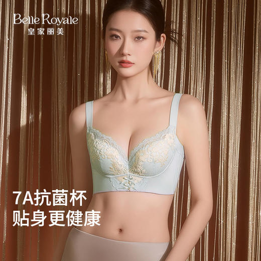 皇家丽美女士文胸 暗香疏影系列 7A 抗菌上托提拉聚拢收副乳内衣WJ2510-2 商品图1