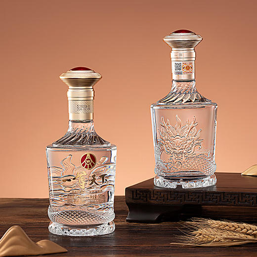 五粮液 52度 一尊天下礼盒 浓香型白酒 500ml*2瓶 商品图1