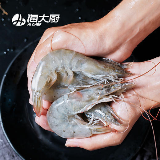 海大厨-王牌白虾1.4kg 商品图2
