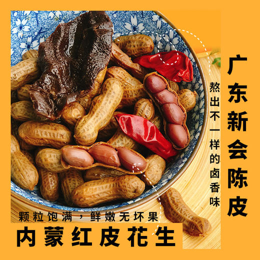 陈皮皮和朋友们陈皮卤花生168g/袋 商品图0