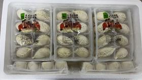 牛畔儿-安格斯牛肉灌汤包