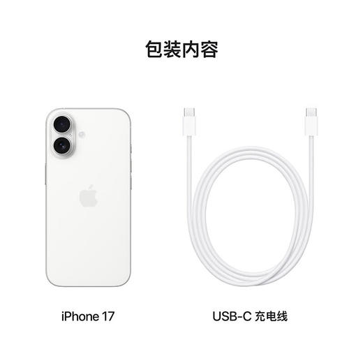 （916换购）iPhone 17  【9月19日陆续发货】 商品图6