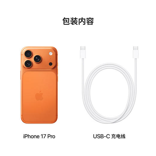 （916换购）iPhone 17 Pro  【9月19日陆续发货】 商品图7