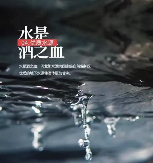 52°衡水老白干新红清柔500ml*2瓶（礼盒装） 商品图3