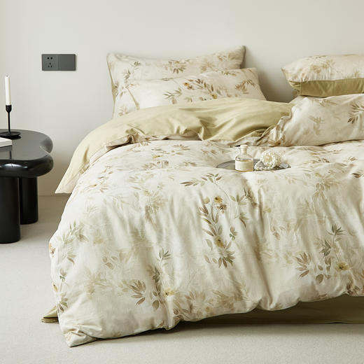 自然醒双层纱印花暗合四件套HS 商品图0